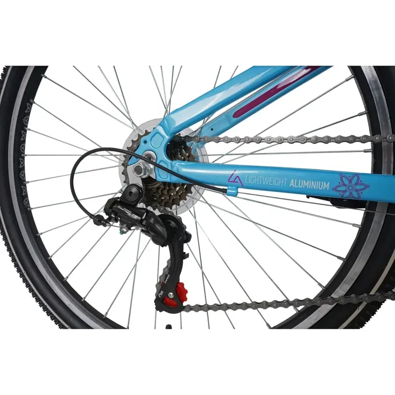 Dawes Kids 26in Paris HT Mountain Bike in Blue-4