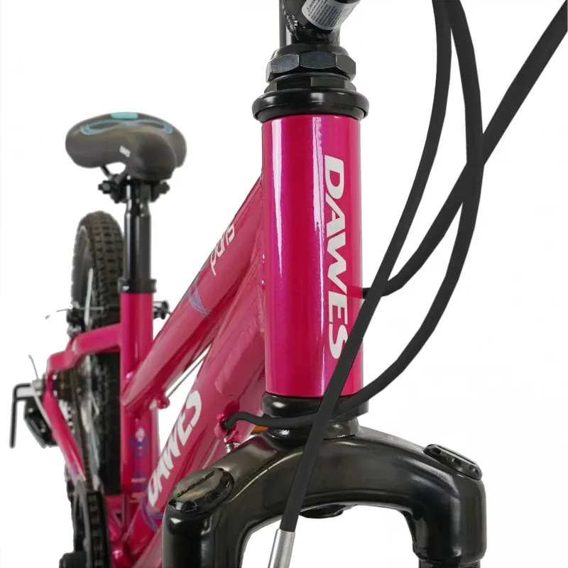 Dawes Kids 20in Paris HT Mountain Bike in Pink-4