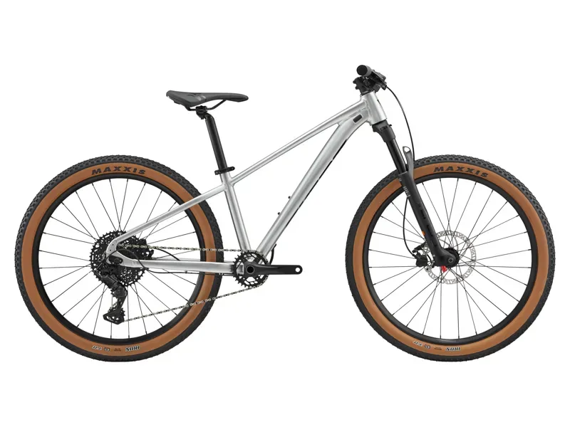 Giant STP 26 Mountain Bike in Quicksilver