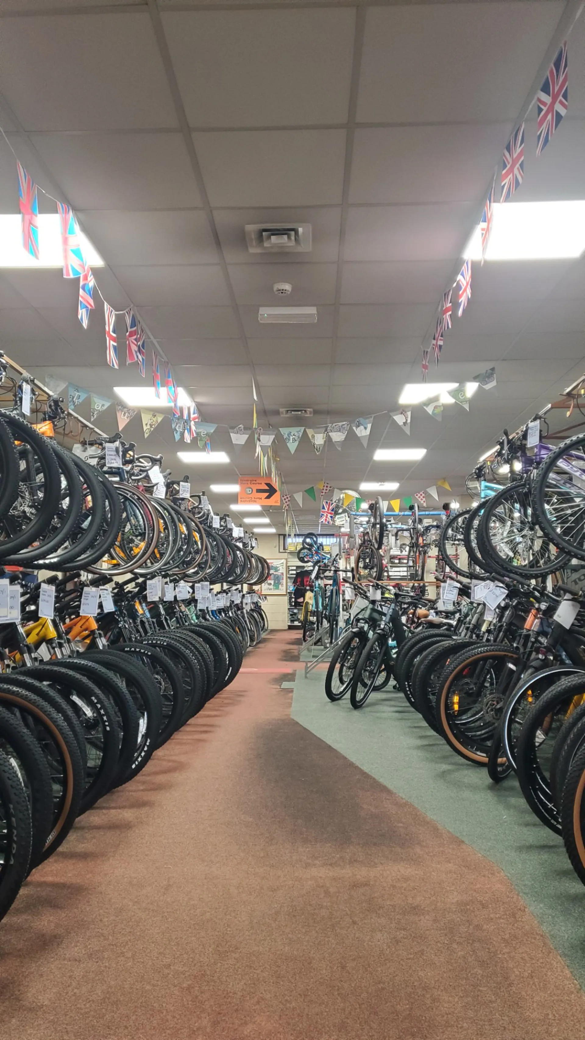 INSERT IMAGE 1 DESCRIPTION HERE