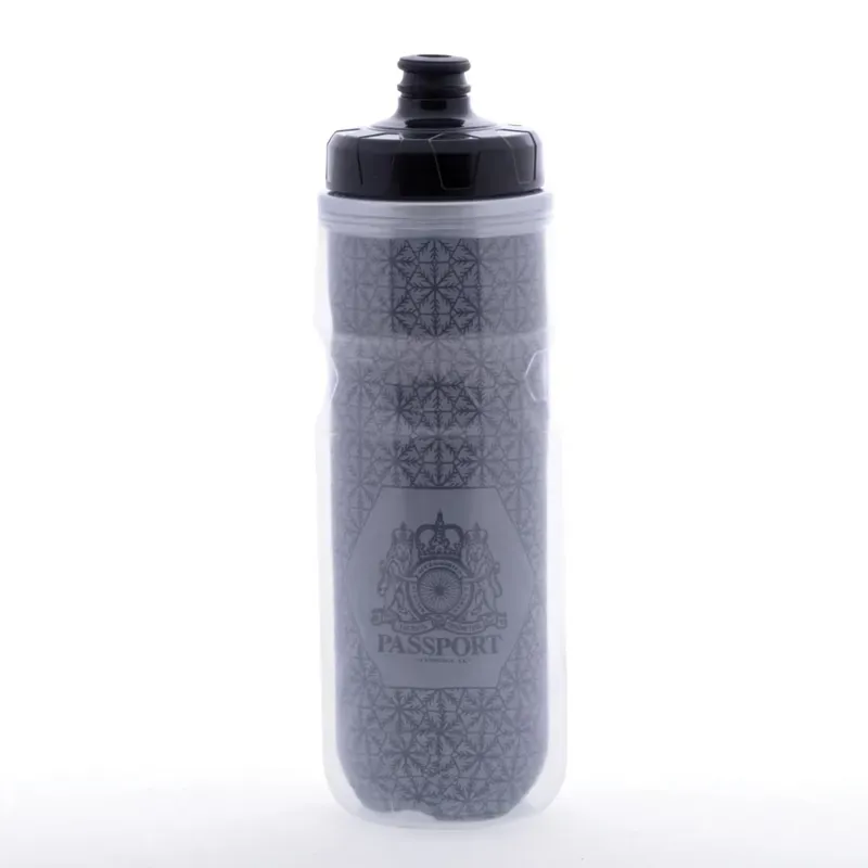 Passport Frostbright Insulated Reflective Water Bottle in Silver/Black