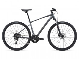 Giant Roam 2 Disc